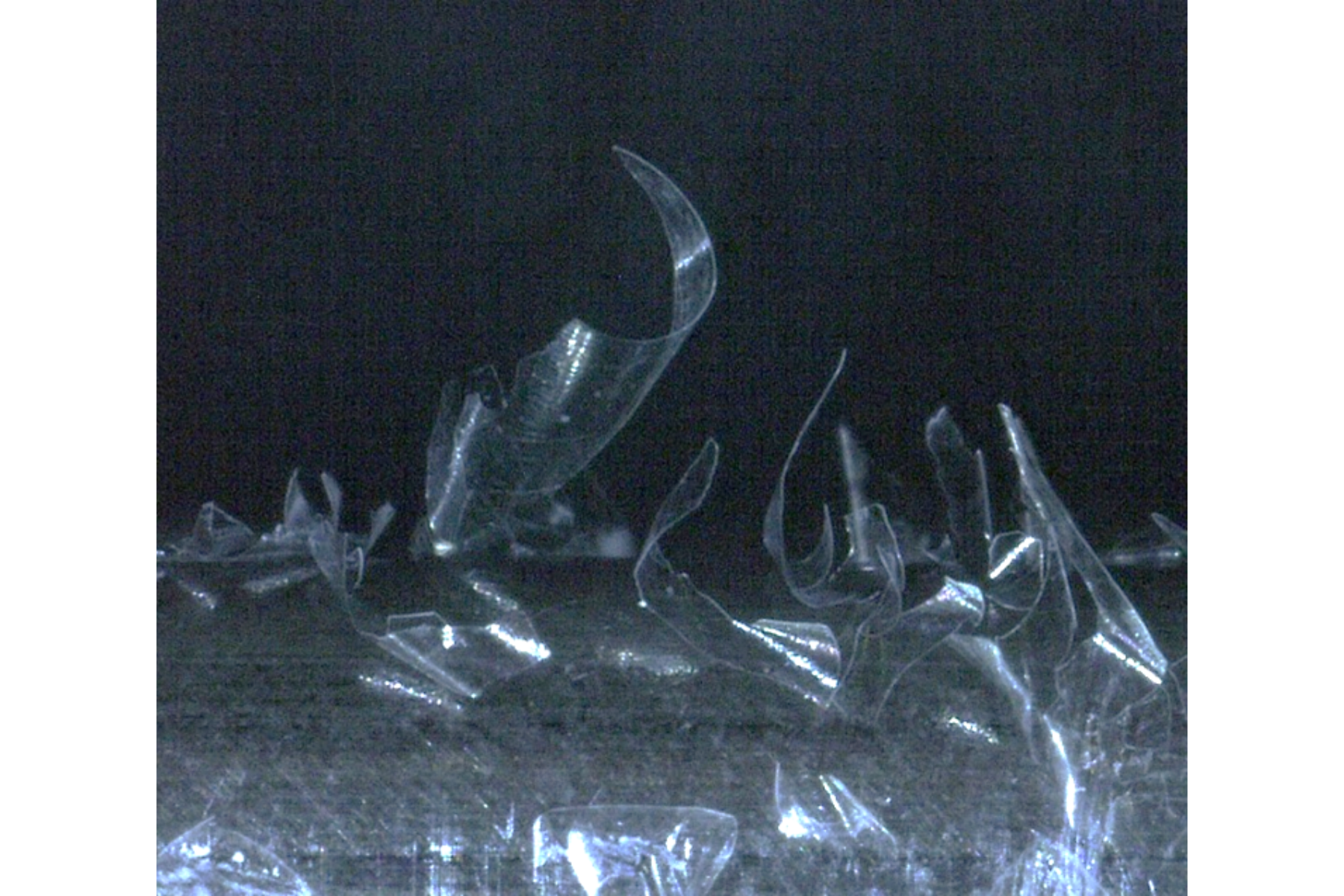 Stuwi-Parasitär_beschichtete_Zuenddraehte_Einfluss_auf_Plasma_und_Substratschicht